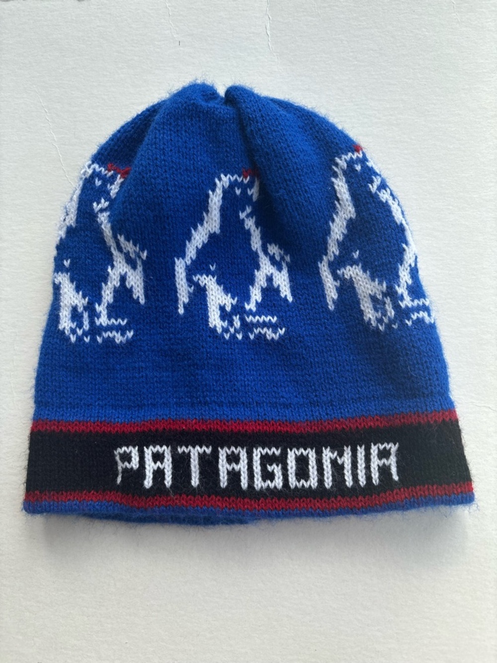 Patagonia Blue Toque